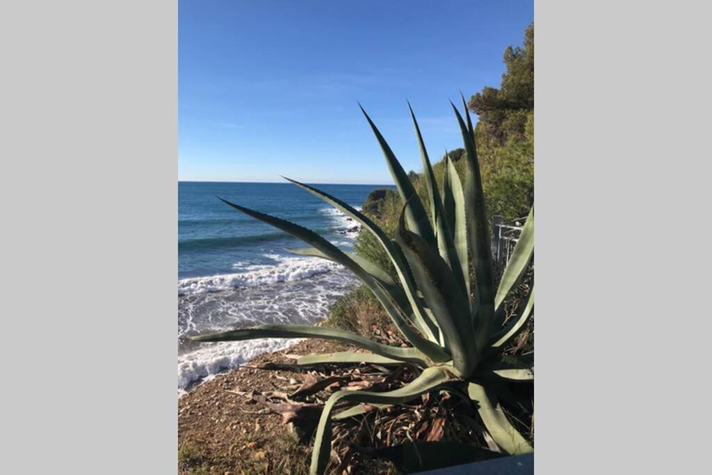 La Petite Pinede Studio Climatise Proche Plage Sanary-sur-Mer Exteriör bild